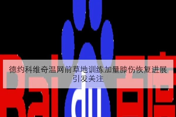 德约科维奇温网前草地训练加量膝伤恢复进展引发关注（AYXAPP）